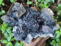 Natural Large Smokey Quartz Cluster with Terminated Black Tourmaline x 1 From Erongo, Namibia