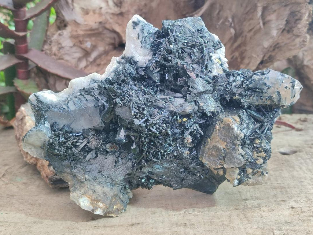 Natural Large Smokey Quartz Cluster with Terminated Black Tourmaline x 1 From Erongo, Namibia