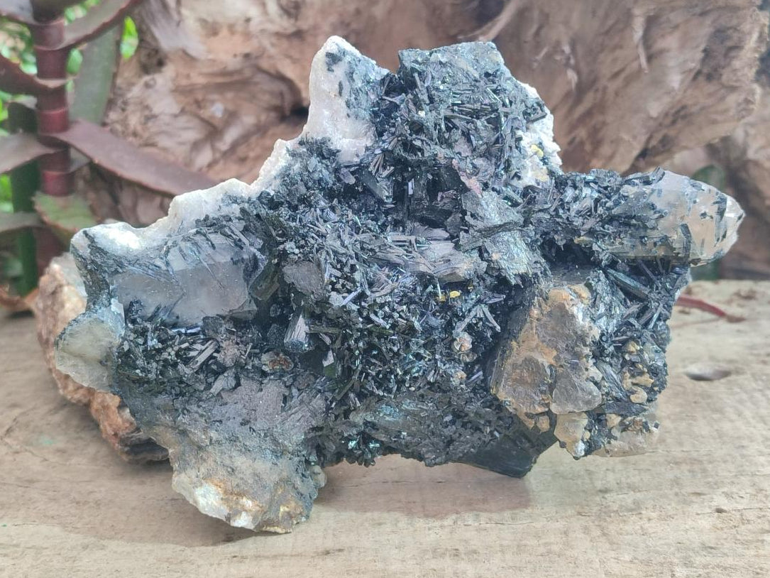 Natural Large Smokey Quartz Cluster with Terminated Black Tourmaline x 1 From Erongo, Namibia