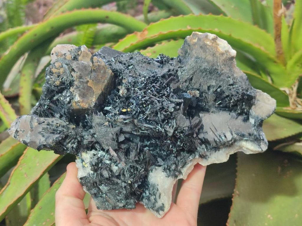 Natural Large Smokey Quartz Cluster with Terminated Black Tourmaline x 1 From Erongo, Namibia