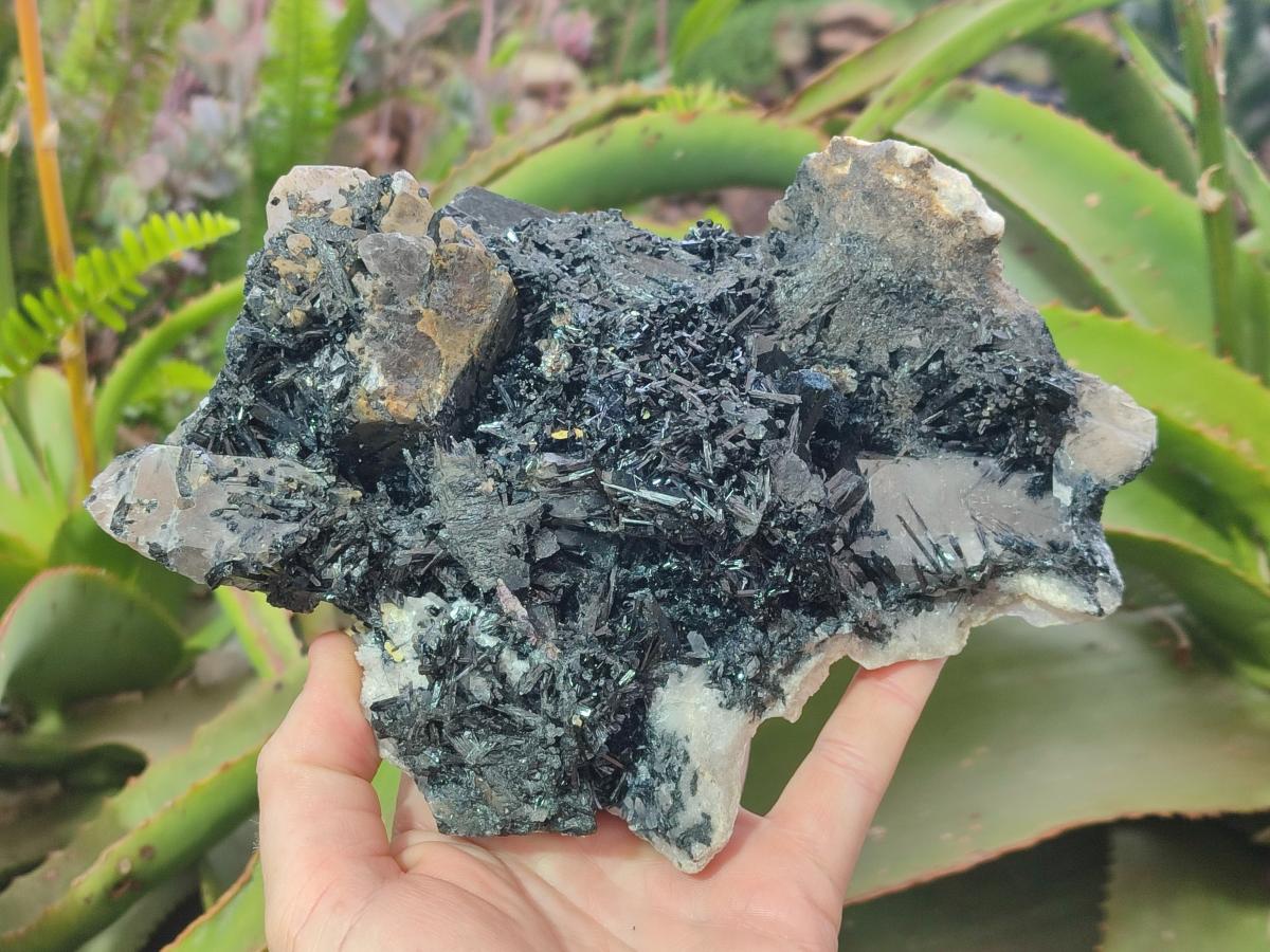 Natural Large Smokey Quartz Cluster with Terminated Black Tourmaline x 1 From Erongo, Namibia