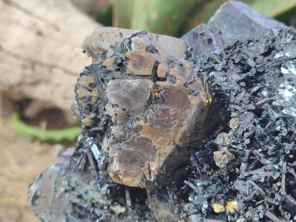 Natural Large Smokey Quartz Cluster with Terminated Black Tourmaline x 1 From Erongo, Namibia