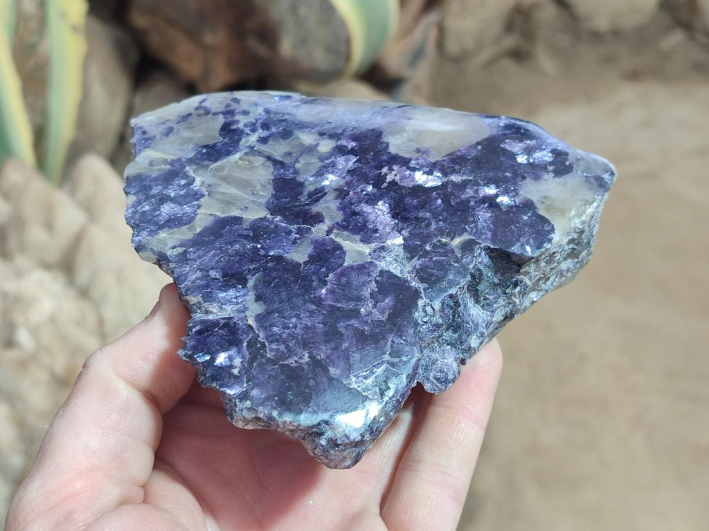 Polished Large One Side Lithium Silver Leaf Lepidolite x 3 From Zimbabwe