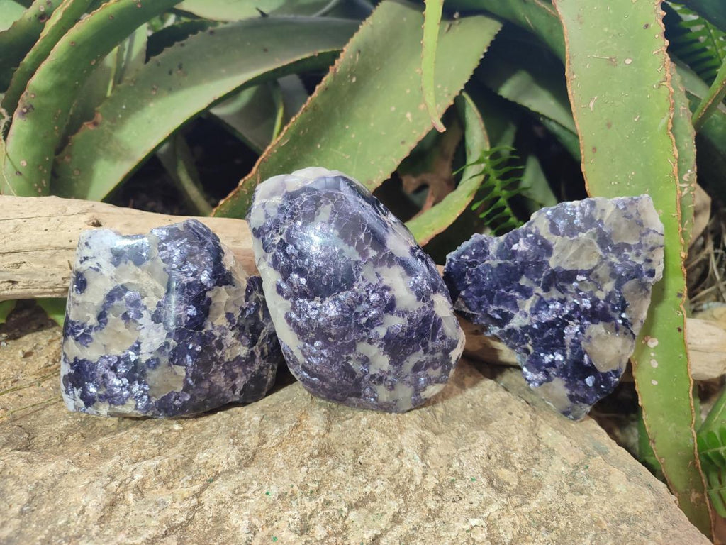 Polished Large One Side Lithium Silver Leaf Lepidolite x 3 From Zimbabwe