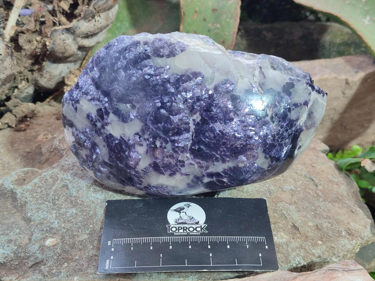 Polished Large One Side Lithium Silver Leaf Lepidolite x 3 From Zimbabwe