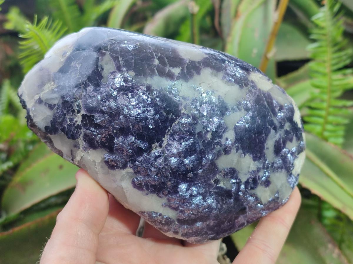 Polished Large One Side Lithium Silver Leaf Lepidolite x 3 From Zimbabwe