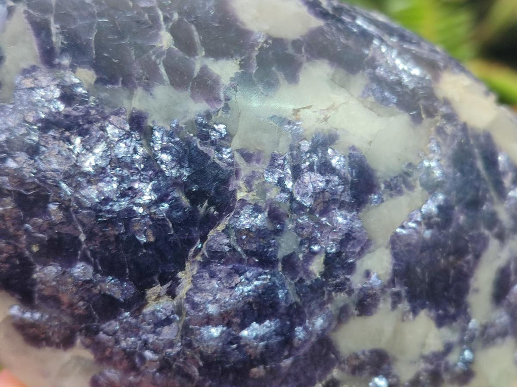 Polished Large One Side Lithium Silver Leaf Lepidolite x 3 From Zimbabwe