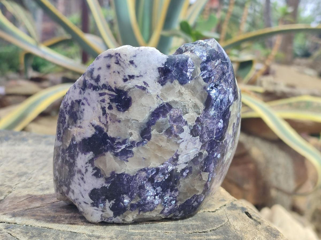 Polished Large One Side Lithium Silver Leaf Lepidolite x 3 From Zimbabwe