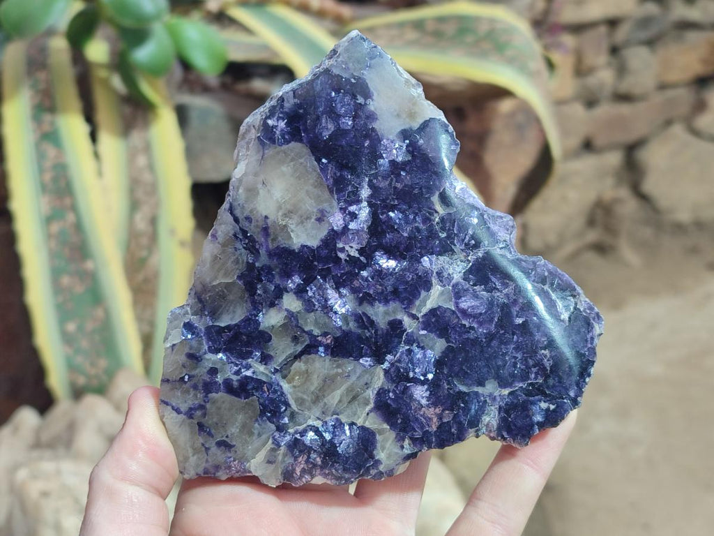 Polished Large One Side Lithium Silver Leaf Lepidolite x 3 From Zimbabwe