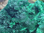 Natural Large Cabinet Size Silky Malachite Specimen x 1 From Kasompe, Congo