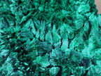 Natural Large Cabinet Size Silky Malachite Specimen x 1 From Kasompe, Congo
