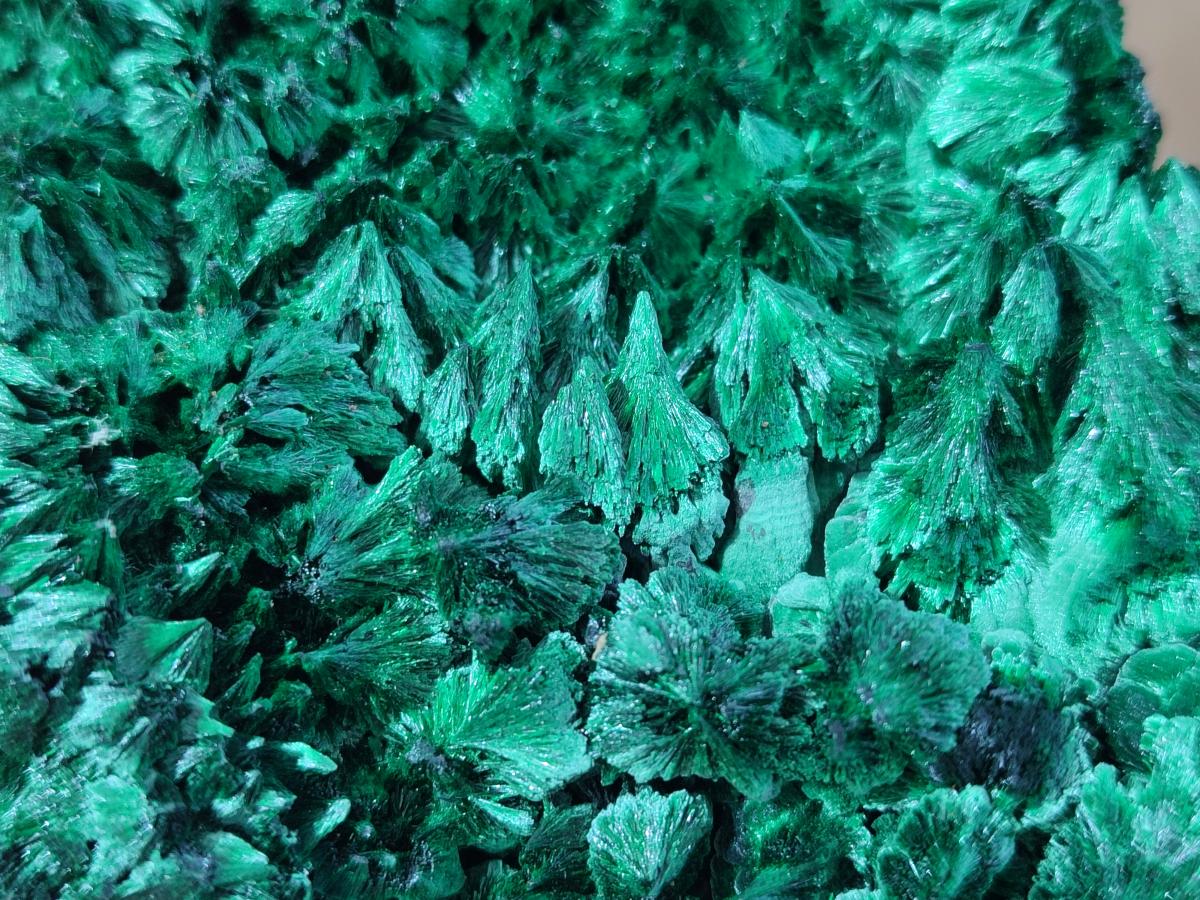Natural Large Cabinet Size Silky Malachite Specimen x 1 From Kasompe, Congo