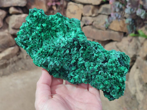 Natural Large Cabinet Size Silky Malachite Specimen x 1 From Kasompe, Congo