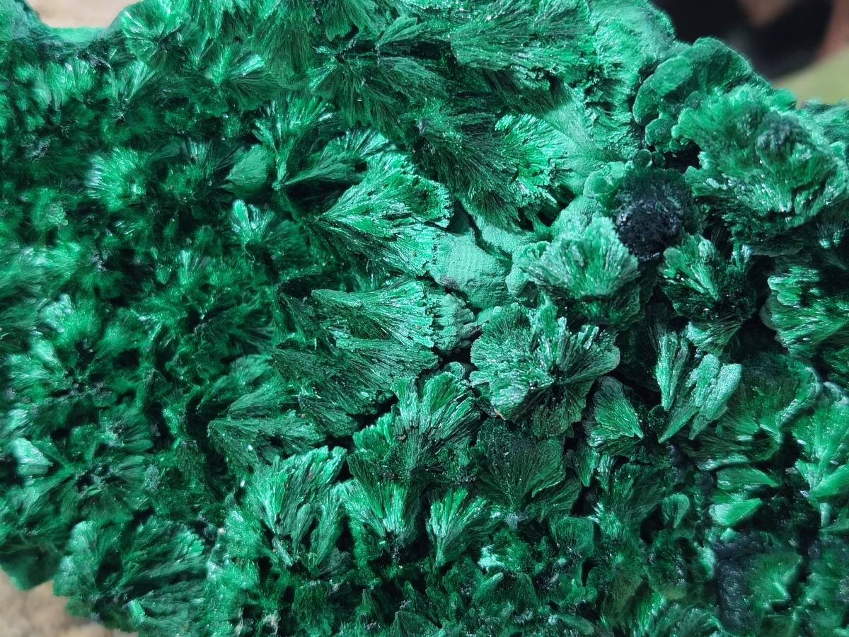 Natural Large Cabinet Size Silky Malachite Specimen x 1 From Kasompe, Congo