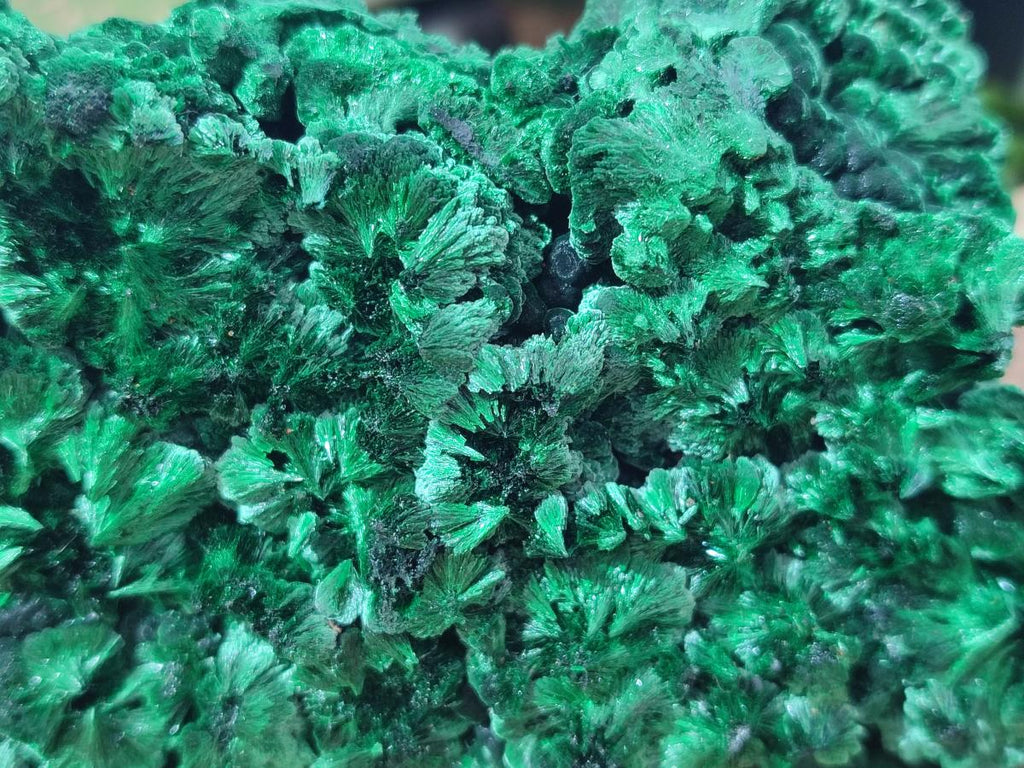 Natural Large Cabinet Size Silky Malachite Specimen x 1 From Kasompe, Congo