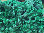 Natural Large Cabinet Size Silky Malachite Specimen x 1 From Kasompe, Congo