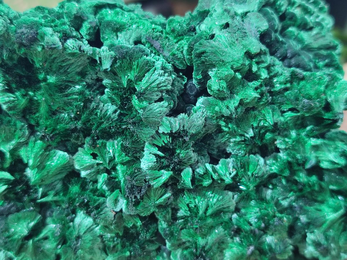 Natural Large Cabinet Size Silky Malachite Specimen x 1 From Kasompe, Congo