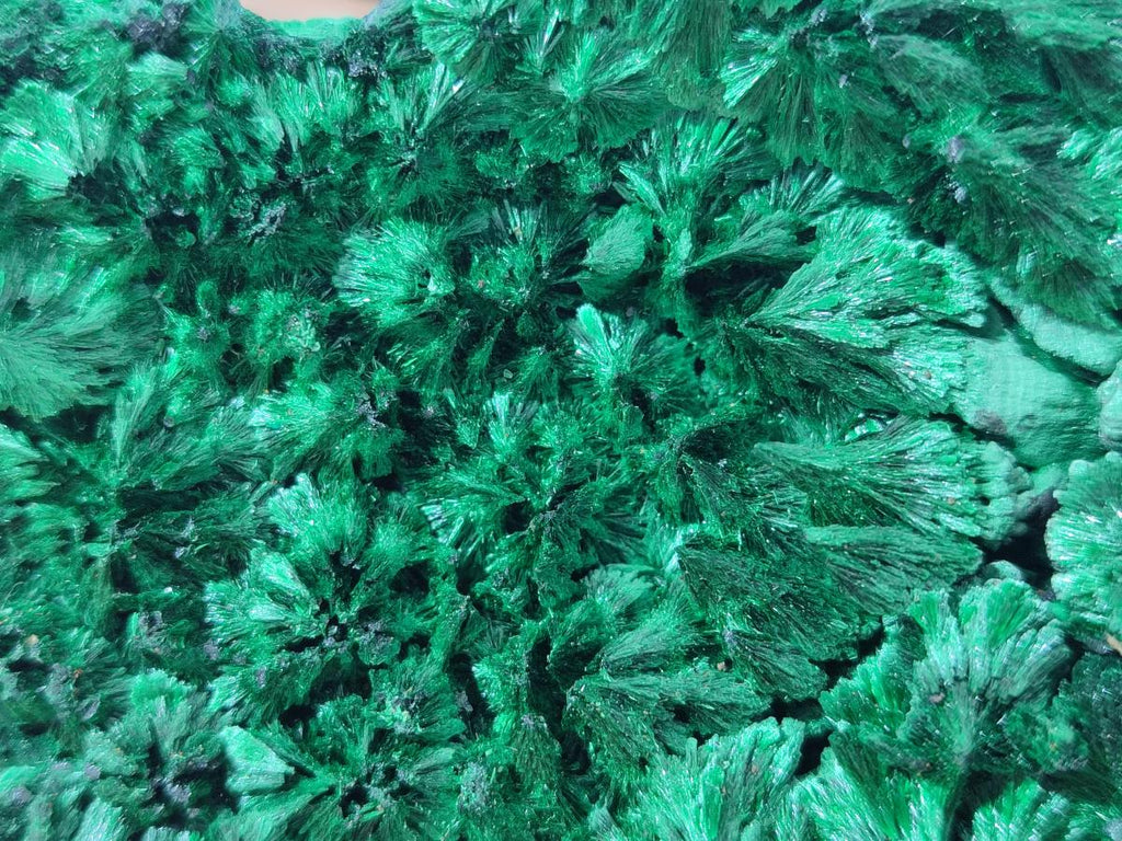 Natural Large Cabinet Size Silky Malachite Specimen x 1 From Kasompe, Congo