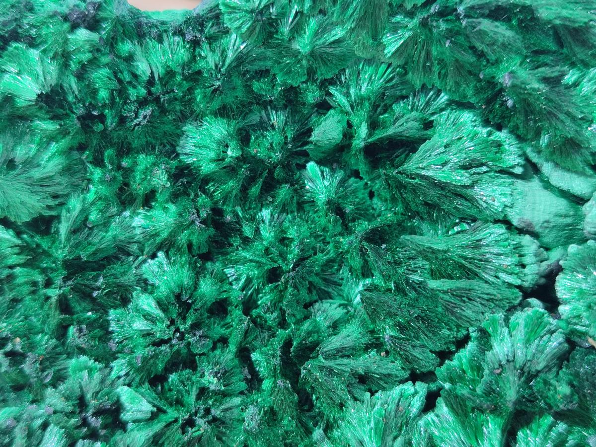 Natural Large Cabinet Size Silky Malachite Specimen x 1 From Kasompe, Congo
