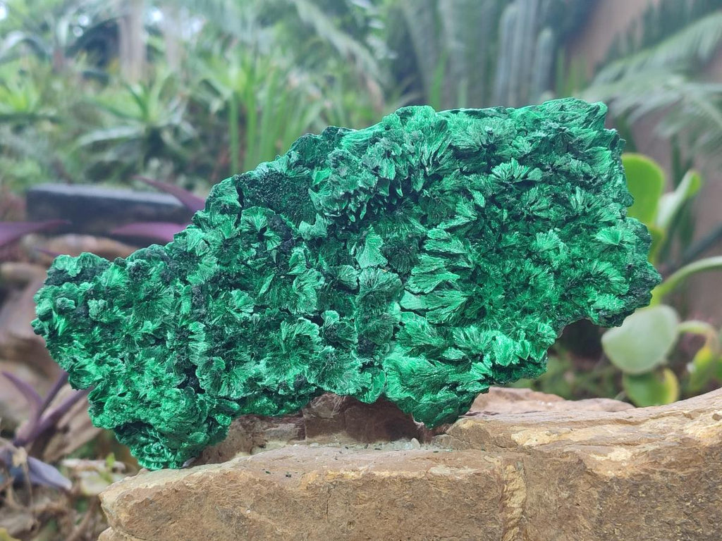 Natural Large Cabinet Size Silky Malachite Specimen x 1 From Kasompe, Congo