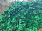 Natural Large Cabinet Size Silky Malachite Specimen x 1 From Kasompe, Congo