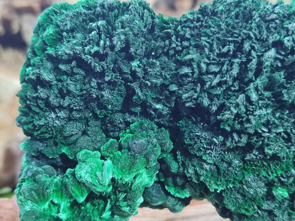 Natural Large Cabinet Size Silky Malachite Specimen x 1 From Kasompe, Congo