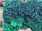 Natural Large Cabinet Size Silky Malachite Specimen x 1 From Kasompe, Congo