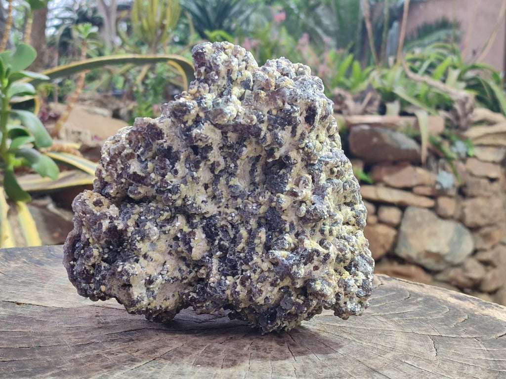 Natural XL Smokey Fluorite Floater Specimen with Yellow Muscovite Mica x 1 From Erongo, Namibia