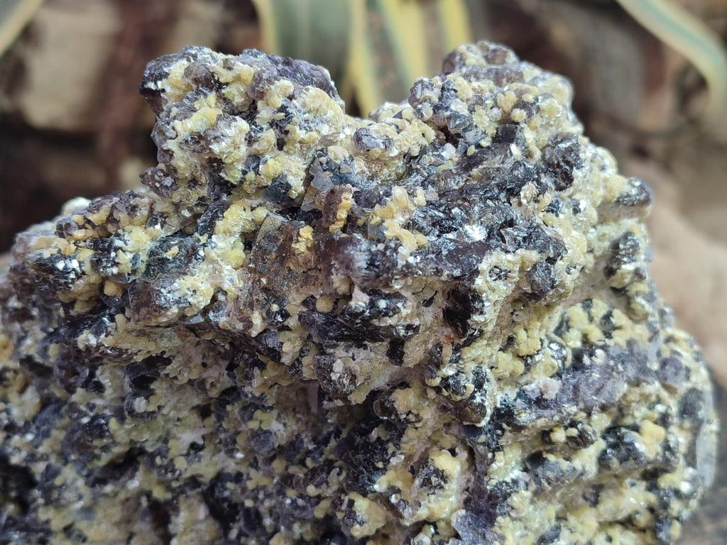Natural XL Smokey Fluorite Floater Specimen with Yellow Muscovite Mica x 1 From Erongo, Namibia