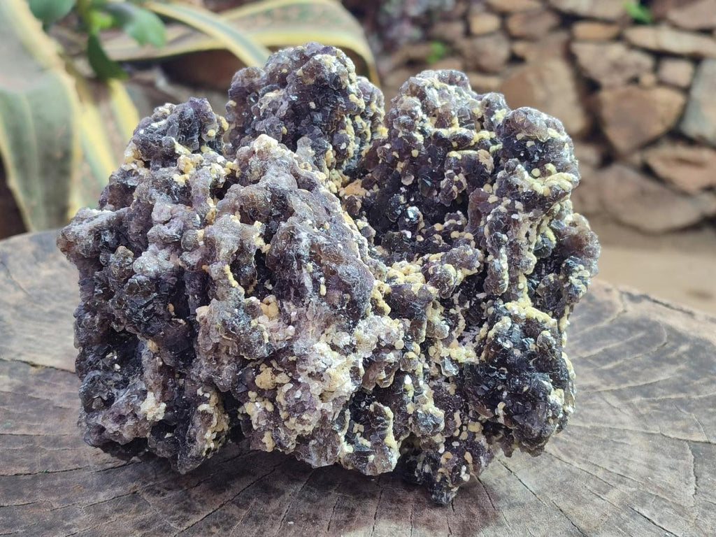 Natural XL Smokey Fluorite Floater Specimen with Yellow Muscovite Mica x 1 From Erongo, Namibia