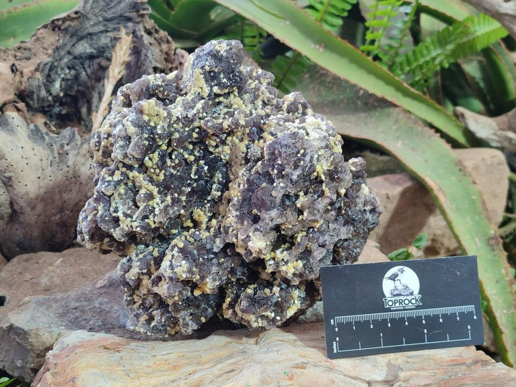 Natural XL Smokey Fluorite Floater Specimen with Yellow Muscovite Mica x 1 From Erongo, Namibia