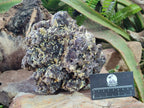 Natural XL Smokey Fluorite Floater Specimen with Yellow Muscovite Mica x 1 From Erongo, Namibia