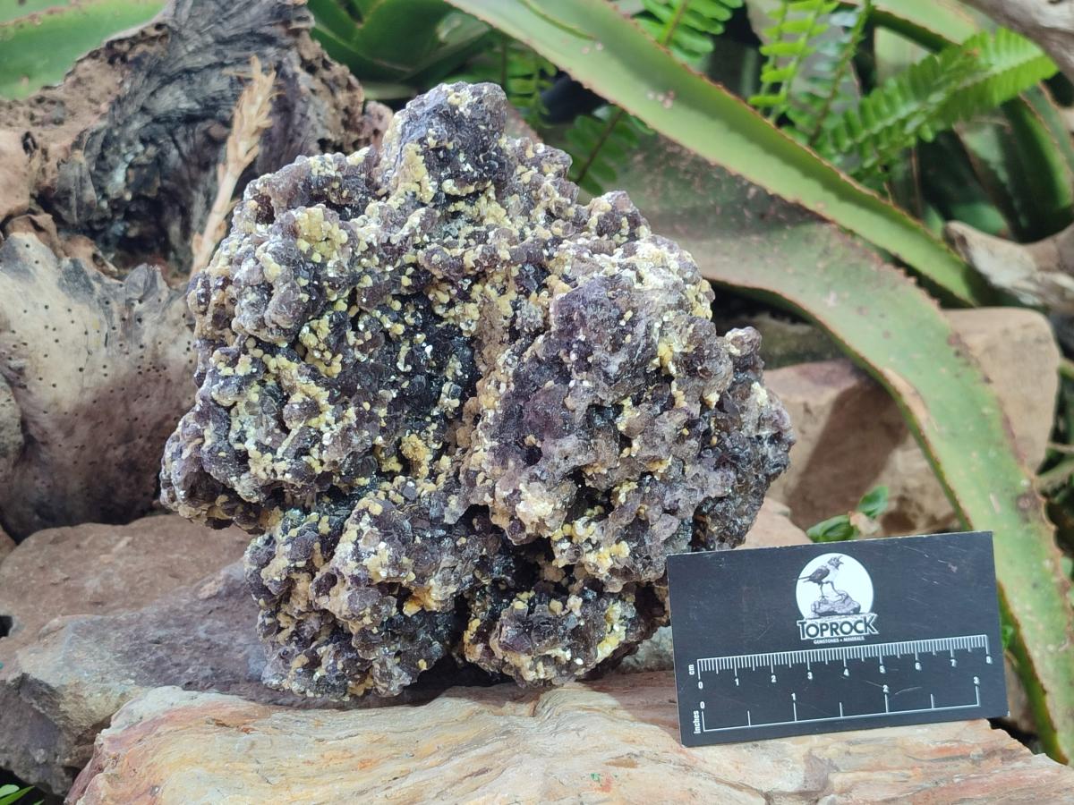 Natural XL Smokey Fluorite Floater Specimen with Yellow Muscovite Mica x 1 From Erongo, Namibia