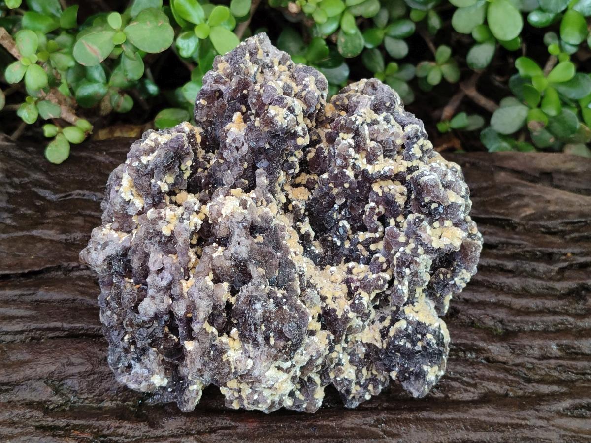 Natural XL Smokey Fluorite Floater Specimen with Yellow Muscovite Mica x 1 From Erongo, Namibia