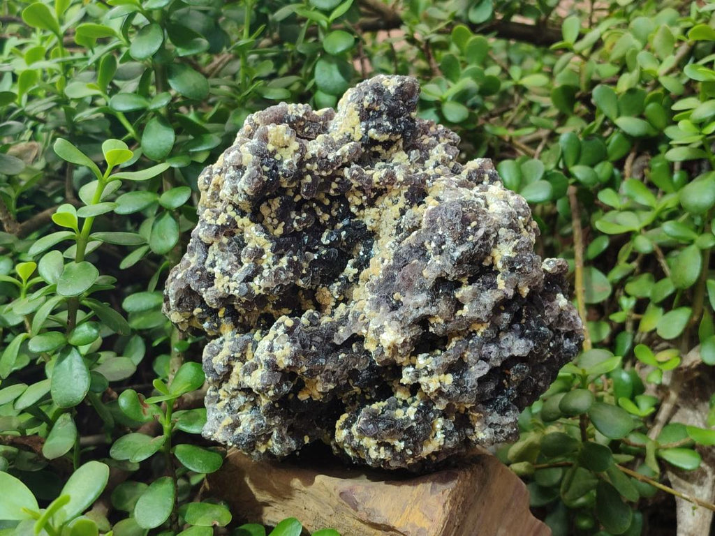 Natural XL Smokey Fluorite Floater Specimen with Yellow Muscovite Mica x 1 From Erongo, Namibia