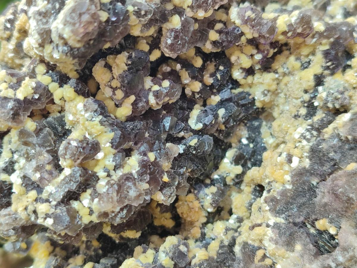 Natural XL Smokey Fluorite Floater Specimen with Yellow Muscovite Mica x 1 From Erongo, Namibia