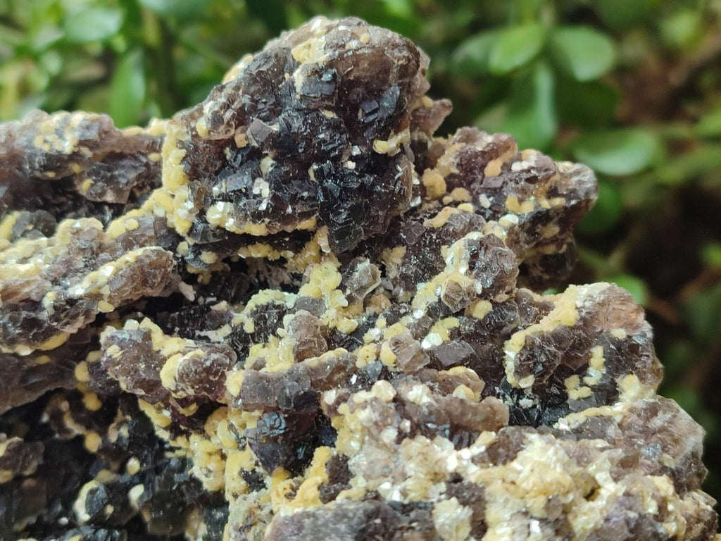 Natural XL Smokey Fluorite Floater Specimen with Yellow Muscovite Mica x 1 From Erongo, Namibia
