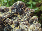 Natural XL Smokey Fluorite Floater Specimen with Yellow Muscovite Mica x 1 From Erongo, Namibia