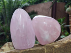 Polished Rose Quartz Standing Display Pieces x 6 From Zimbabwe