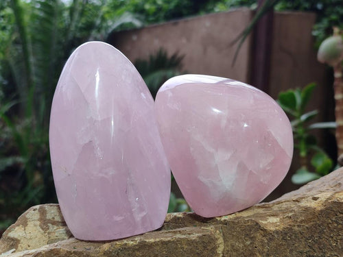 Polished Rose Quartz Standing Display Pieces x 6 From Zimbabwe