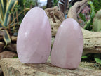 Polished Rose Quartz Standing Display Pieces x 6 From Zimbabwe