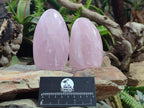 Polished Rose Quartz Standing Display Pieces x 6 From Zimbabwe