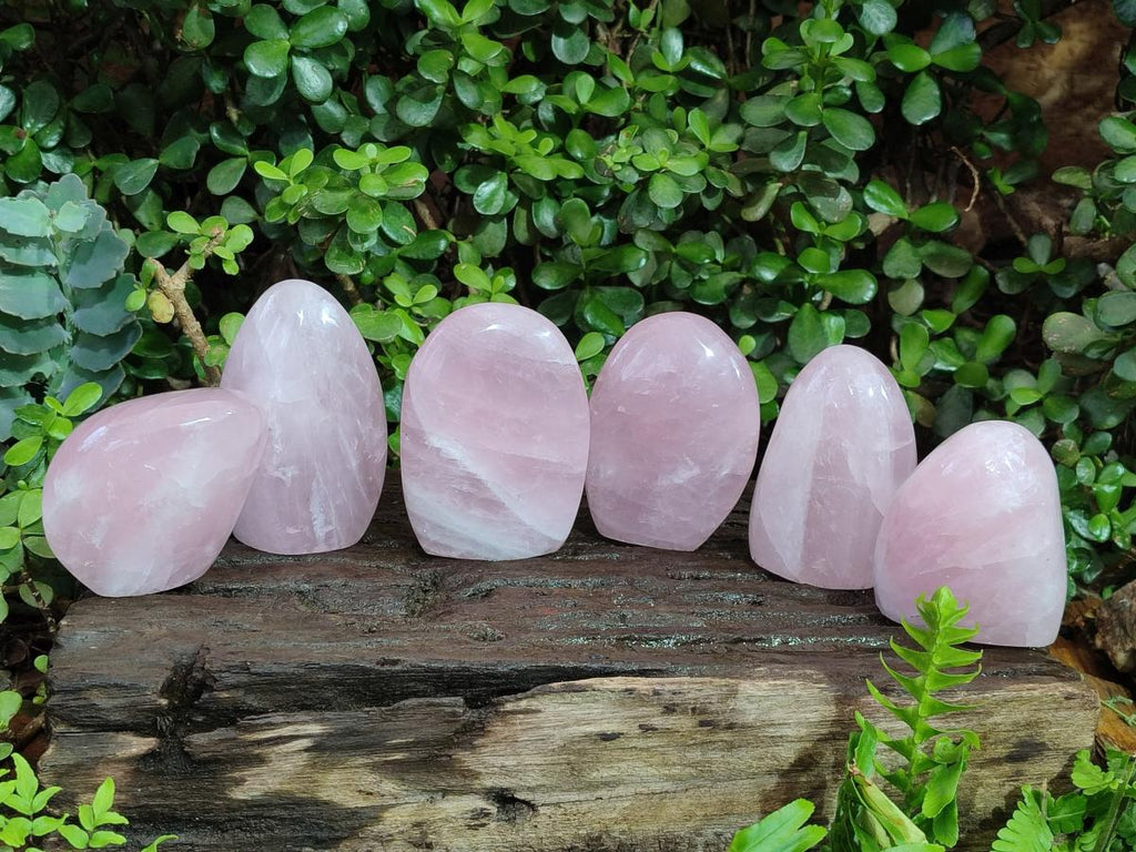 Polished Rose Quartz Standing Display Pieces x 6 From Zimbabwe