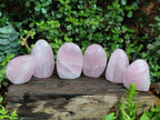 Polished Rose Quartz Standing Display Pieces x 6 From Zimbabwe