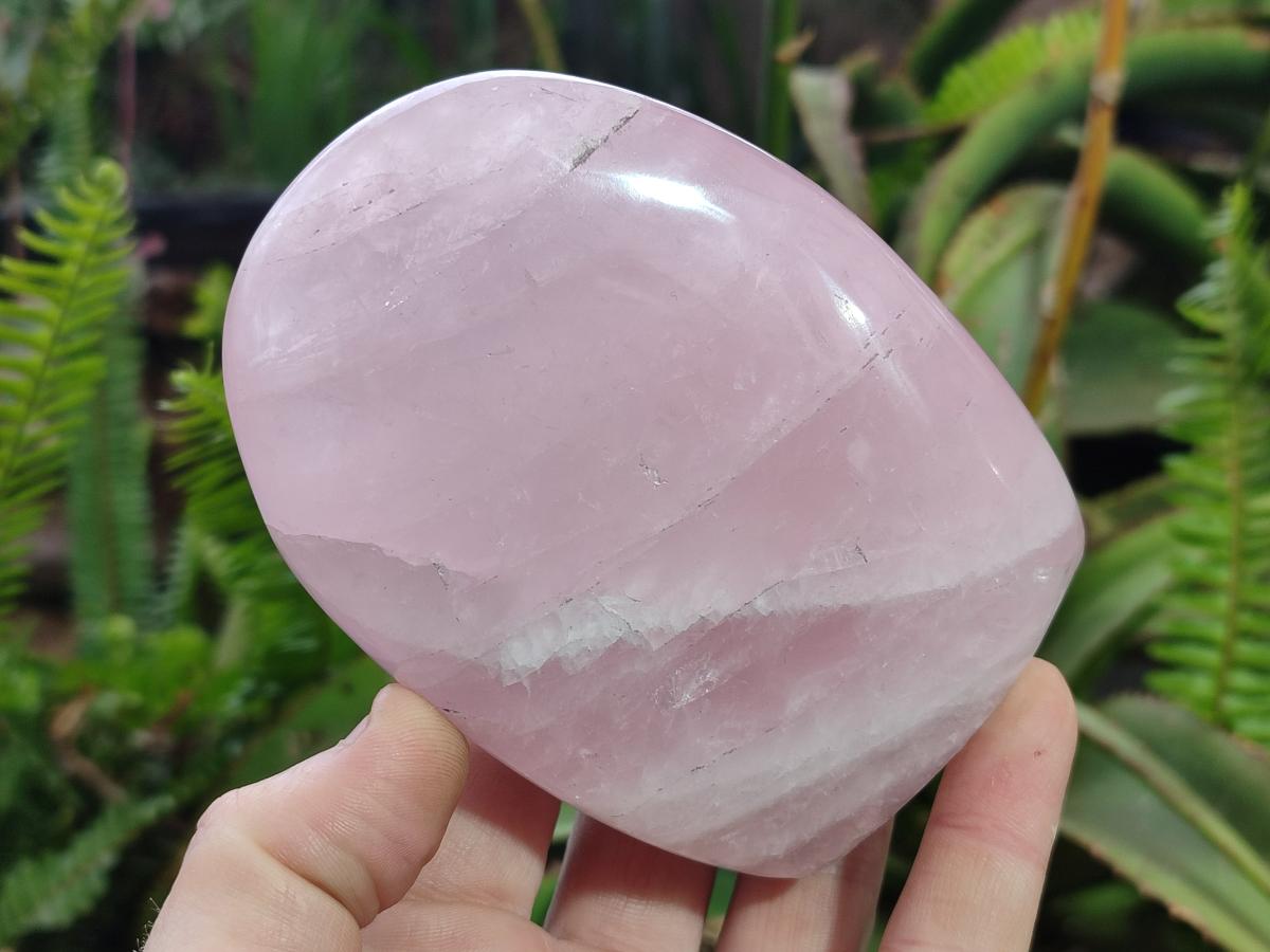Polished Rose Quartz Standing Display Pieces x 6 From Zimbabwe