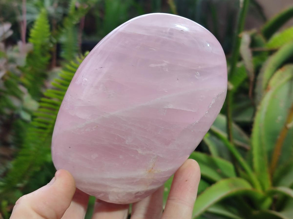 Polished Rose Quartz Standing Display Pieces x 6 From Zimbabwe