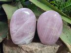 Polished Rose Quartz Standing Display Pieces x 6 From Zimbabwe