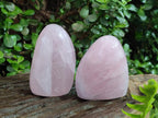 Polished Rose Quartz Standing Display Pieces x 6 From Zimbabwe