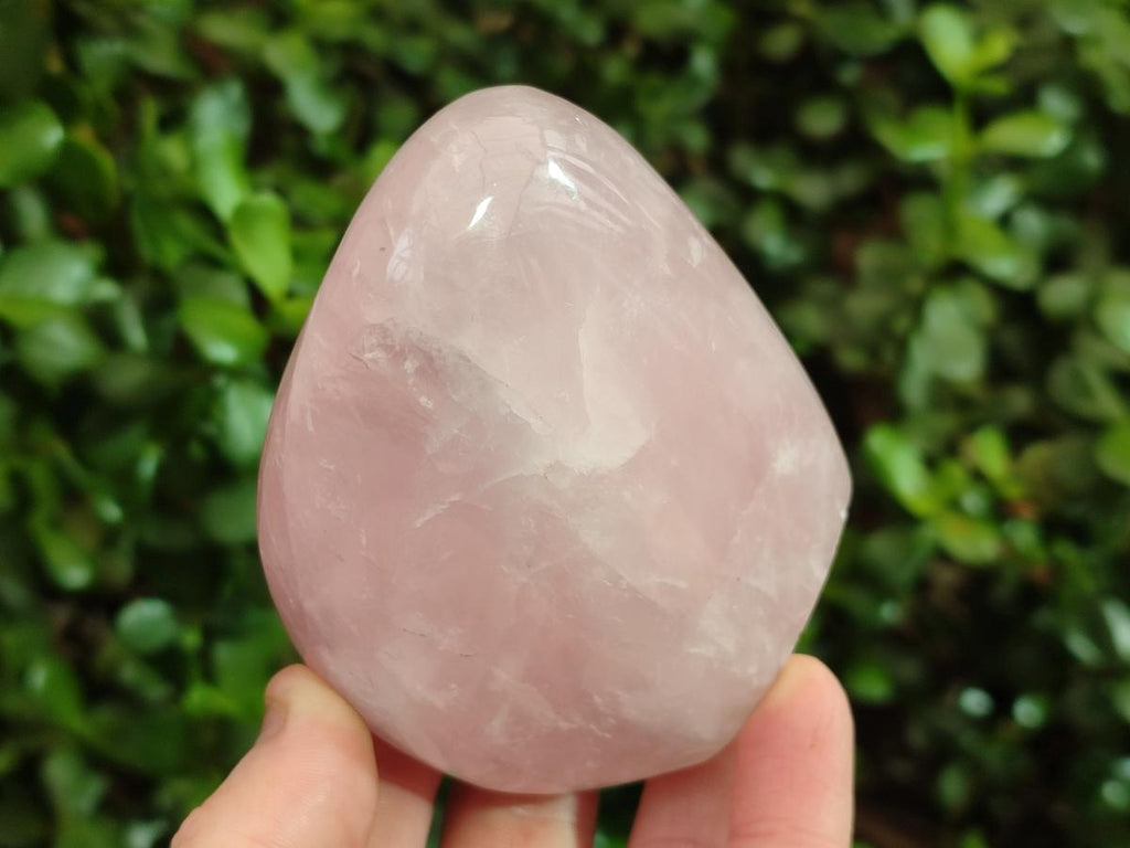 Polished Rose Quartz Standing Display Pieces x 6 From Zimbabwe