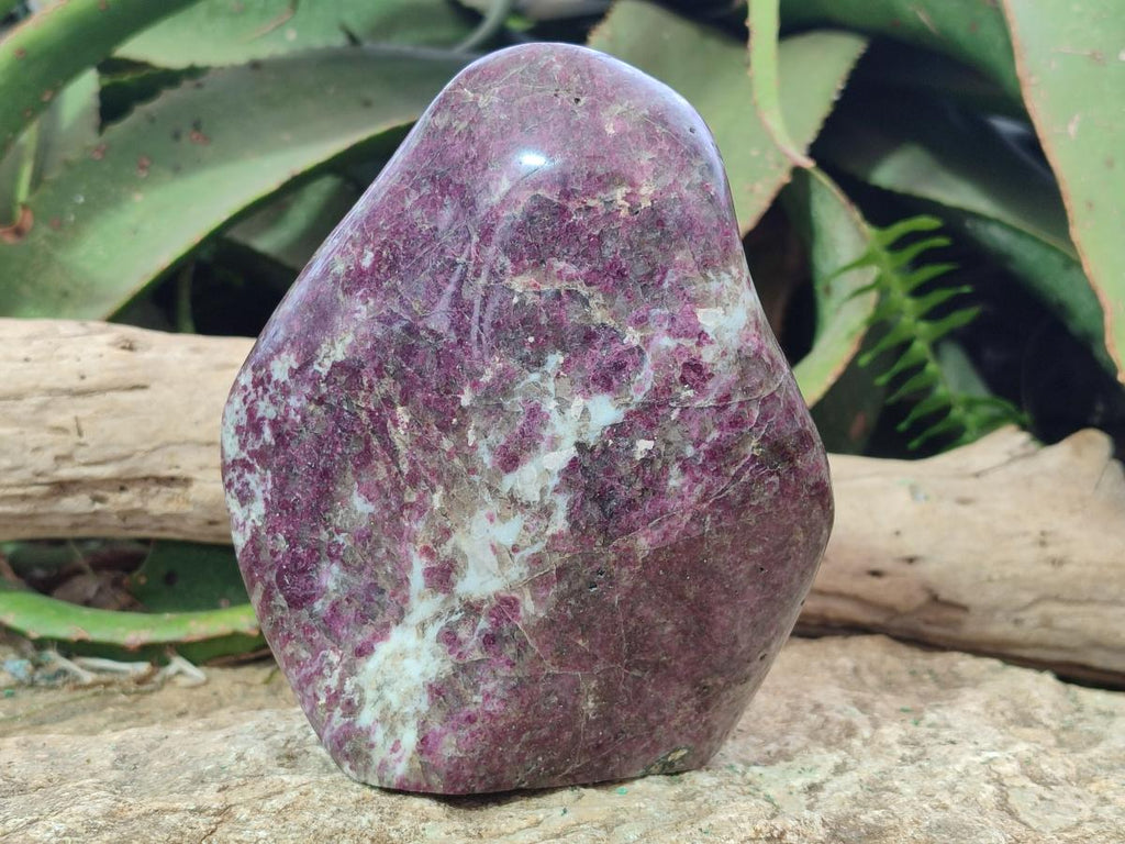 Polished Large Rubellite Pink Tourmaline Standing Display Piece x 1 From Ambatondrazaka, Madagascar